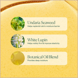 OSEA Seaweed Body Oil – Hydrating & Firming Glow Oil for Soft, Smooth Skin